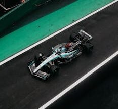 coche de formula 1